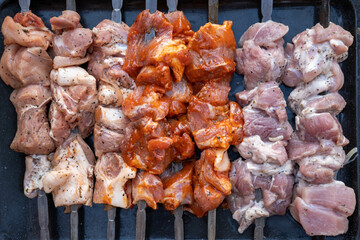 grilled meat kebab. traditional picnic with outdoor barbecue in summer. The concept of summer outdoor recreation.