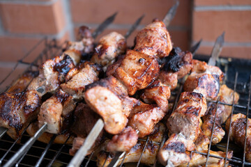 grilled meat kebab. traditional picnic with outdoor barbecue in summer. The concept of summer outdoor recreation.