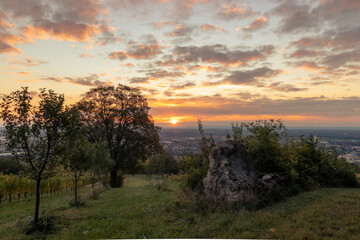 Sonnenaufgang am Eichkogel nahe Mödling in Niederösterreich
