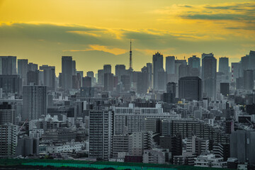 東京都心のビル群と夕景