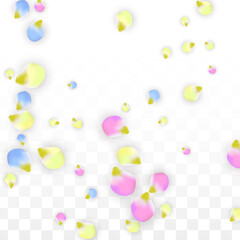 Vector Realistic Colorful Petals Falling on Transparent Background.  Spring Romantic Flowers Illustration. Flying Petals. Sakura Spa Design. Blossom Confetti. Design Elements for Wedding Decoration.