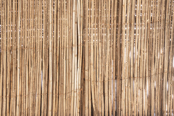 Reed background, bottom view of dry reed, as background
