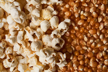 Half Corn and half pop corn background. No body