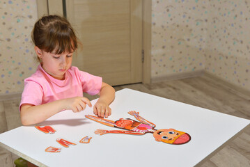 Orenburg, Russia - 01 07 2020 preschooler collects a puzzle of the structure of a person. Curious...