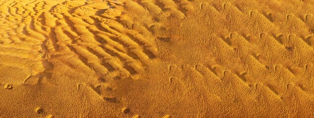abstract background, structure of clean, yellow sand in the sun