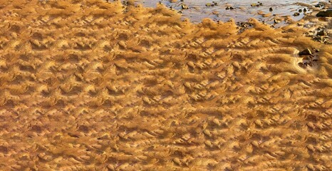 abstract background, zigzags in the sand, structure of clean, yellow sand in the sun, space for text