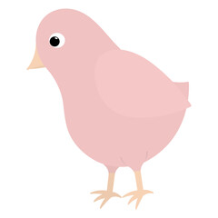 Bird. Cute pink chick. Color vector illustration. A small songbird with big eyes. Isolated background. Flat style. Festive print. Idea for web design, invitations, postcards.