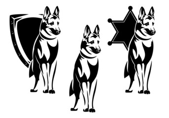 belgian shepherd standing by heraldic shield with metal studs and sheriff star - police dog insignia badge black and white vector design - obrazy, fototapety, plakaty