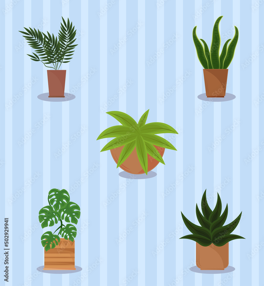 Sticker plants in pot