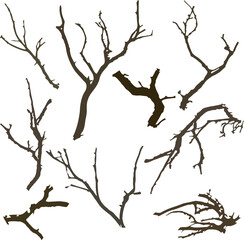 Dry branch silhouette art illustration backgrounds
