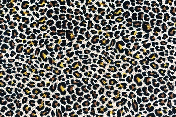Foto auf Acrylglas Leopard skin surfaces as a background, texture, pattern. © Andriy