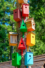 Many colorful and different in structure birdhouses are attached to the tree.