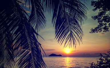 Beautiful bright tropical sunset on the seashore, view of the sky and water through the silhouette of a palm tree