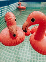 Pink flamingo in the pool, cocktail coaster, chill out, summer vacation