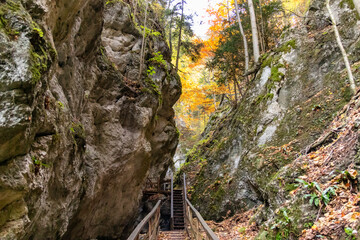 Steinwandklamm, Niederösterreich