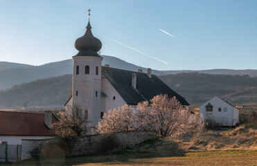 Alte Kirche des Freigut Thallern in Gumpoldskirchen Niederösterreich, Weinberge und blauer Himmel...