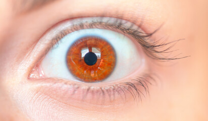 Close up image of beautiful girl  hazel eye 