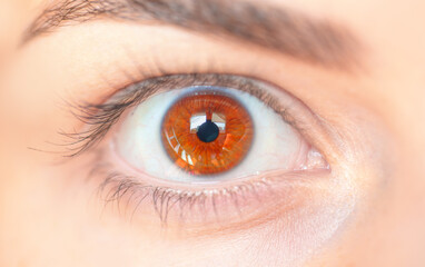 Fototapeta premium Close up image of beautiful girl hazel eye 