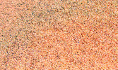 Wheat grains as agricultural background. Wheat grains texture. 