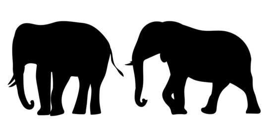 elephant silhouette, on white background, isolated, vector