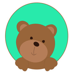 Brown teddy bear on a green background