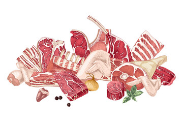 Different raw meat parts on white background