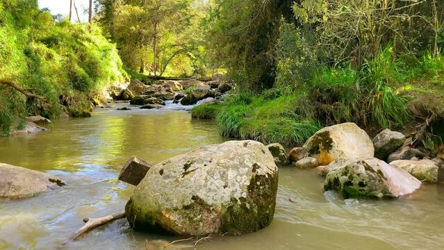 Wild landscape of forest river. Wild river flows rocks.  Calm, River, rocks forest.
