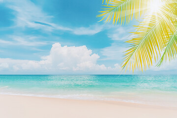 Palm tree on tropical beach with blue sky and white clouds abstract background. Copy space of...