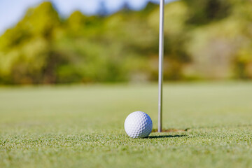ゴルフ場のグリーンとボール