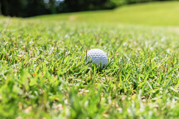 ゴルフ場のラフに落ちた白いボール