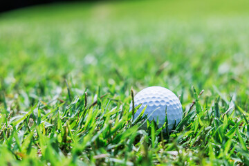 ゴルフ場のラフに落ちた白いボール