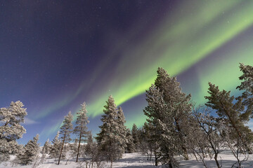 Aurora borealis in Lapland, Finland.