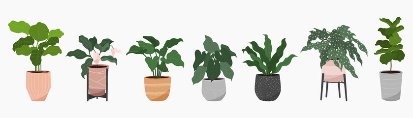 Potted plants collection on white background. Set of interior house plants with tropical plants, flowers, cactus, leaves. Different vintage indoor decor illustration for decoration, art, prints. © TWINS DESIGN STUDIO