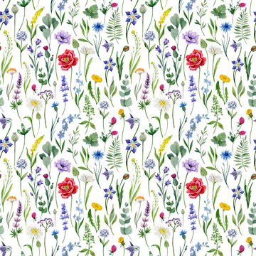 Summer seamless pattern with wild flowers on a white background.