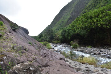 Maui Hawaii Needle Monument State Park stream