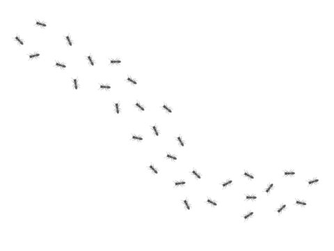 行列 Images Browse 2 939 Stock Photos Vectors And Video Adobe Stock