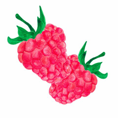 Watercolor illustration of raspberries.