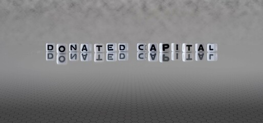 donated capital word or concept represented by black and white letter cubes on a grey horizon background stretching to infinity