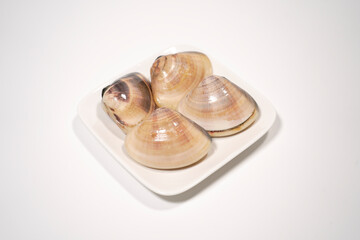 新鮮なハマグリのイメージ画像