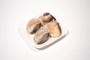 新鮮なハマグリのイメージ画像	