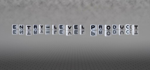 entry level product word or concept represented by black and white letter cubes on a grey horizon background stretching to infinity