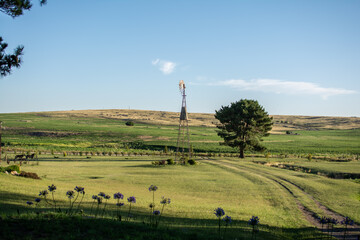 field patagonia
