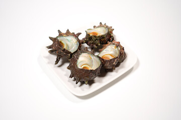 新鮮なサザエのイメージ画像	