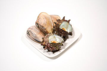 サザエとハマグリのイメージ画像	