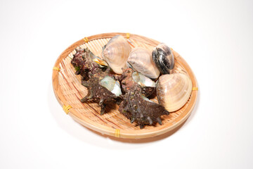 サザエとハマグリのイメージ画像	