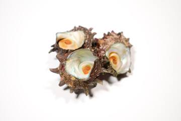 新鮮なサザエのイメージ画像	