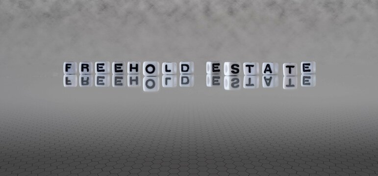 รูปภาพFreehold – เลือกดูภาพถ่ายสต็อก เวกเตอร์ และวิดีโอ8,072 | Adobe Stock