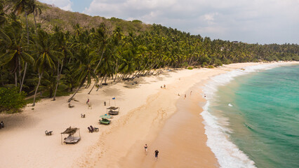 Tropical landscape, paradise beach, palm trees and ocean, travel drone photo.