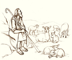 Fototapeta na wymiar Shepherd with a sheeps on the field