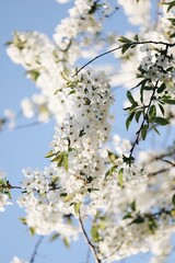 Processed with VSCO with a6 preset